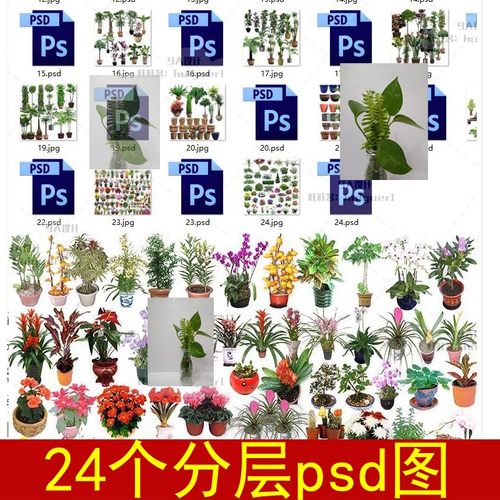禅意新中式盆栽绿植花艺花盆水缸罗汉松PS效果图素材PSD源文件