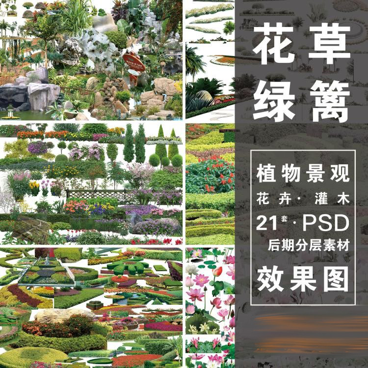 园林景观花卉绿篱模纹花坛水生花卉草花高清psd分层高清ps素材库