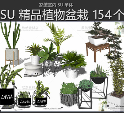 室内阳台露台植物 绿植多肉罗汉松仙人掌盆栽绿萝草图大师SU模型