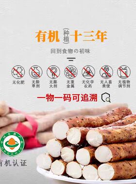 有机铁棍山药孕婴辅食健康无农残软糯新城宫家山药焦作垆土淮山药
