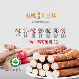 有机铁棍山药孕婴辅食健康无农残软糯新城宫家山药焦作垆土淮山药