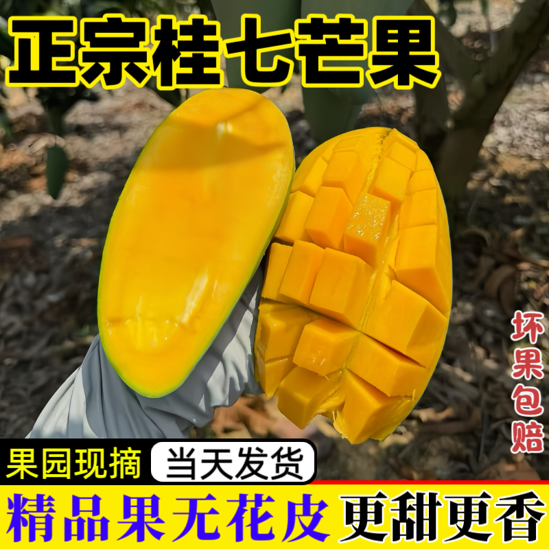 正宗广西桂七芒果新鲜果香甜多汁