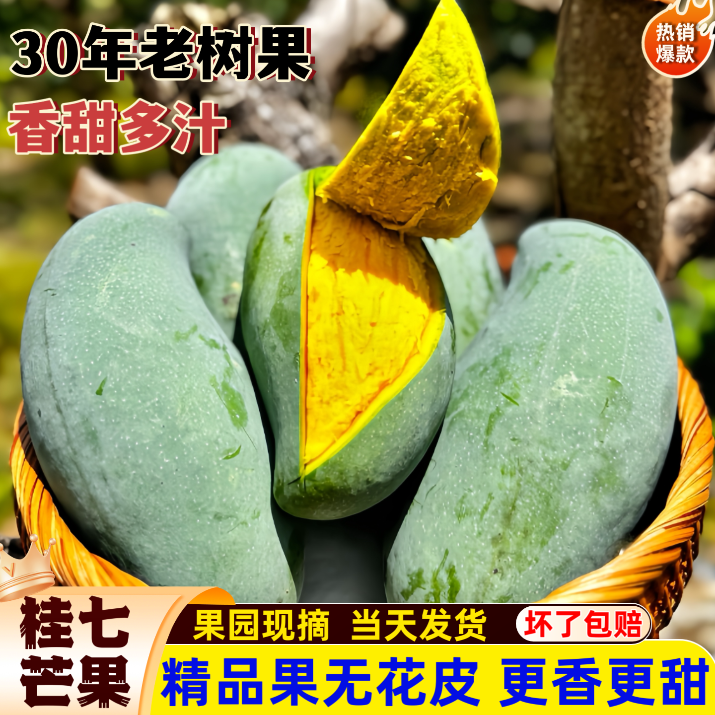 桂七芒果正宗广西百色田东芒果新鲜香芒直发鲜甜多汁应季水果