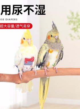 衣服屎兜鸟用尿不湿玄凤牡丹虎皮小可爱尿布鸟粪兜飞行纸尿裤