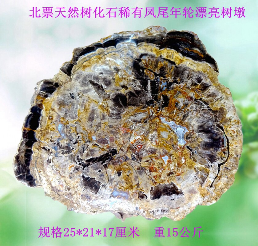 天然观赏石树叶模树景观奇石古生物树化玉硅化木树化石标本摆件58