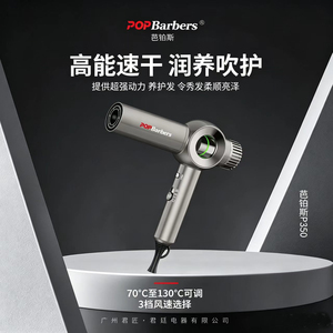 芭铂斯高速吹风机P350负离子护发造型速干风筒大功率2400W理发店