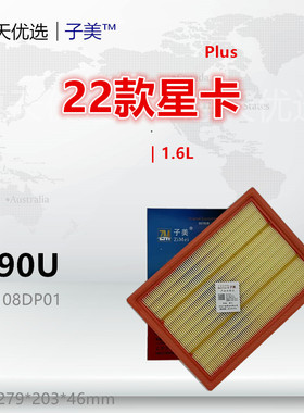 C290U适配凯程 22款星卡Plus 神骐Plus 1.6L 1.8L 空气滤芯清器