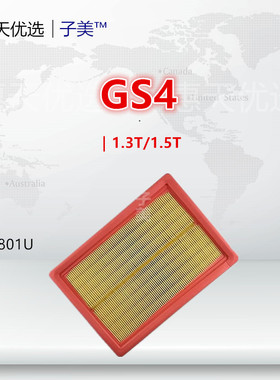 C801适配传祺GS4 GM6 GA4 GS5 GS3 M6 GA3S视界 空气滤芯清器格