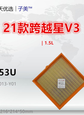 C153U适配跨越星V3 V5 跨越王F3 X1 X3 新豹3 T3 T5 萨普空气滤芯