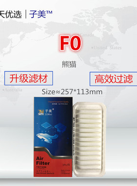 196H适配比亚迪F0 熊猫 自由舰 远景X1 金刚 1.0空气滤芯