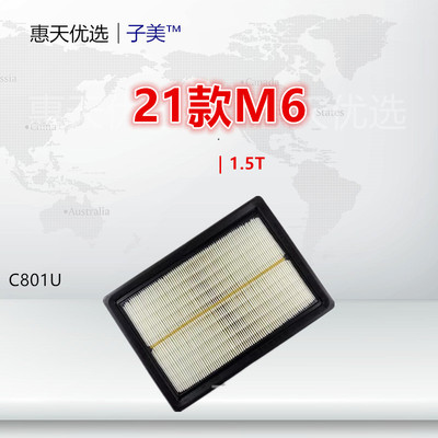 高效净化空气滤芯子美GS4