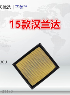 适配15款汉兰达/NX200t 塞纳 RX270/RX350 空气滤芯清器进气格网