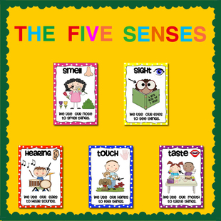 饰早教启蒙A4塑封6张 myself英语五感海报教室墙贴装 all about