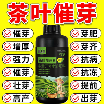 茶叶叶面肥催芽剂催芽王强力催芽暴新芽茶叶树提前发芽增产促长剂