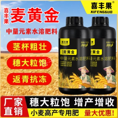 【喜丰果】麦黄金正品农用小麦水溶肥料抗旱抗涝抗倒伏籽粒饱满