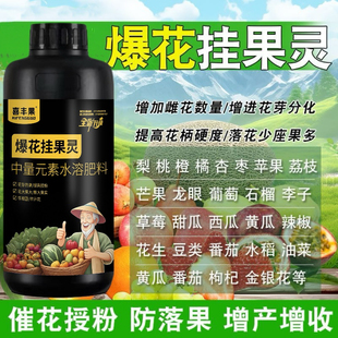 爆花挂果灵催花授粉座果强力坐果灵正品提高座果率一整套保花保果