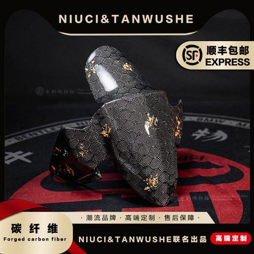 NQI/U+/u+B碳纤维前挡泥板