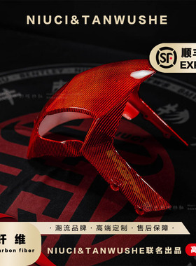 适用于杜卡迪 Ducati Monster 怪兽821碳纤维红漆前挡泥板