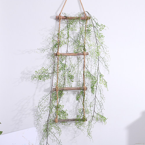 缠绕蕨类绿植造景点缀蔓藤
