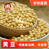 沂蒙山妞新笨黄豆农家种植小黄豆农家大豆打豆浆生豆芽杂粮500g