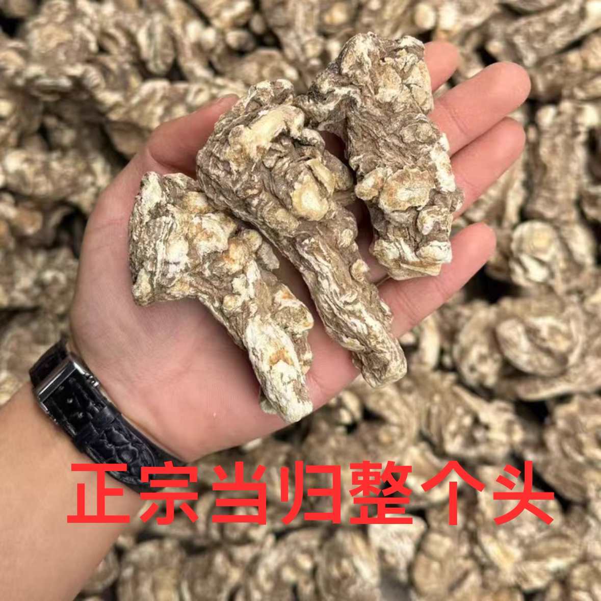当归头正品中药材官方旗舰店煲汤