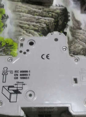 台州设备#  5SJ62 MCB C10—--看