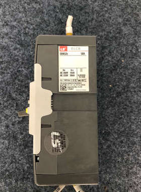 台州设备 LS EBN52C 50A 2P 漏电保护器