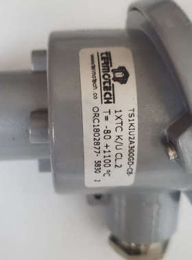 台州设备TERMOTECH意大利原厂温度传感器