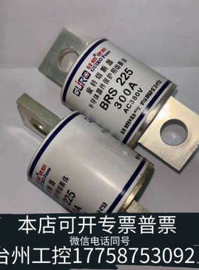 台州设备旋转熔断器BRS225 300A380V  CZ225 38