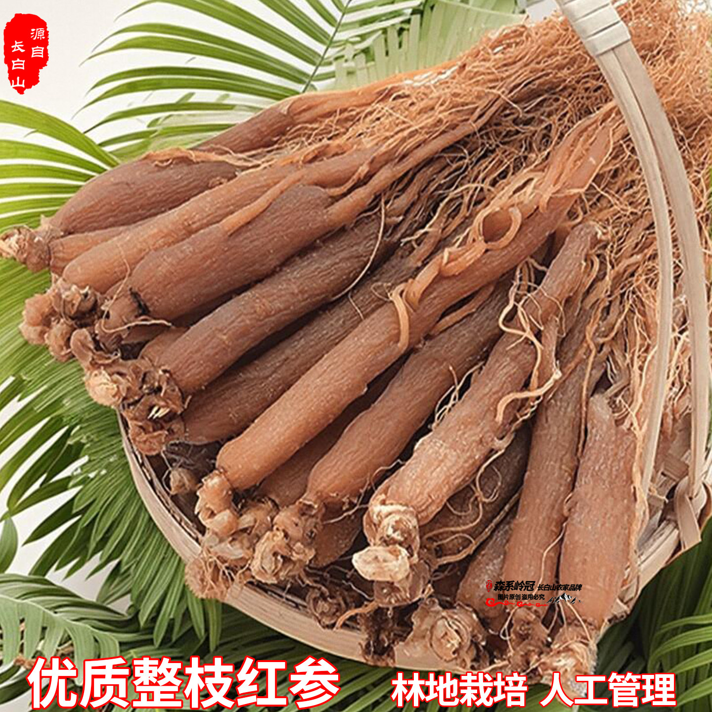 长白山优质整枝红参带须正宗人参熟制品全支煲汤泡酒滋补东北正品