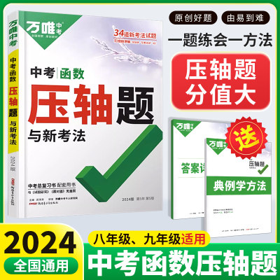 2024万唯中考数学压轴二次