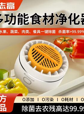 志高蔬清洗机家用清洗除菌去农残