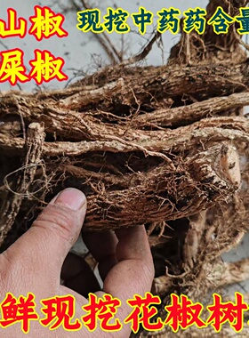 贵州原生态野生花椒树树根 新鲜现挖带根须 香料药材泡酒炖汤料