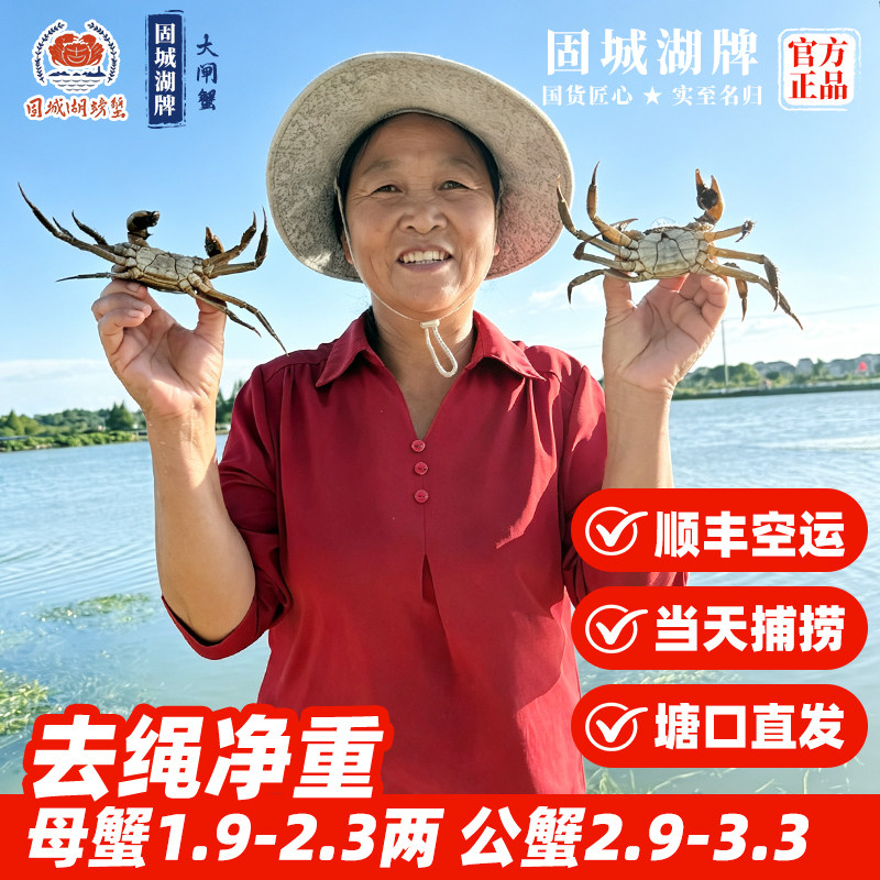 【活蟹】南京固城湖大闸蟹鲜活特大螃蟹公3两母蟹2两10只礼盒包邮