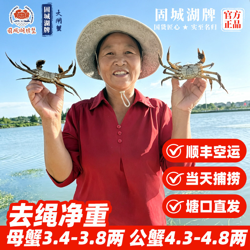 活蟹固城湖大闸蟹鲜活特大螃蟹全母净重3.5两公蟹4.5两6/8/10只