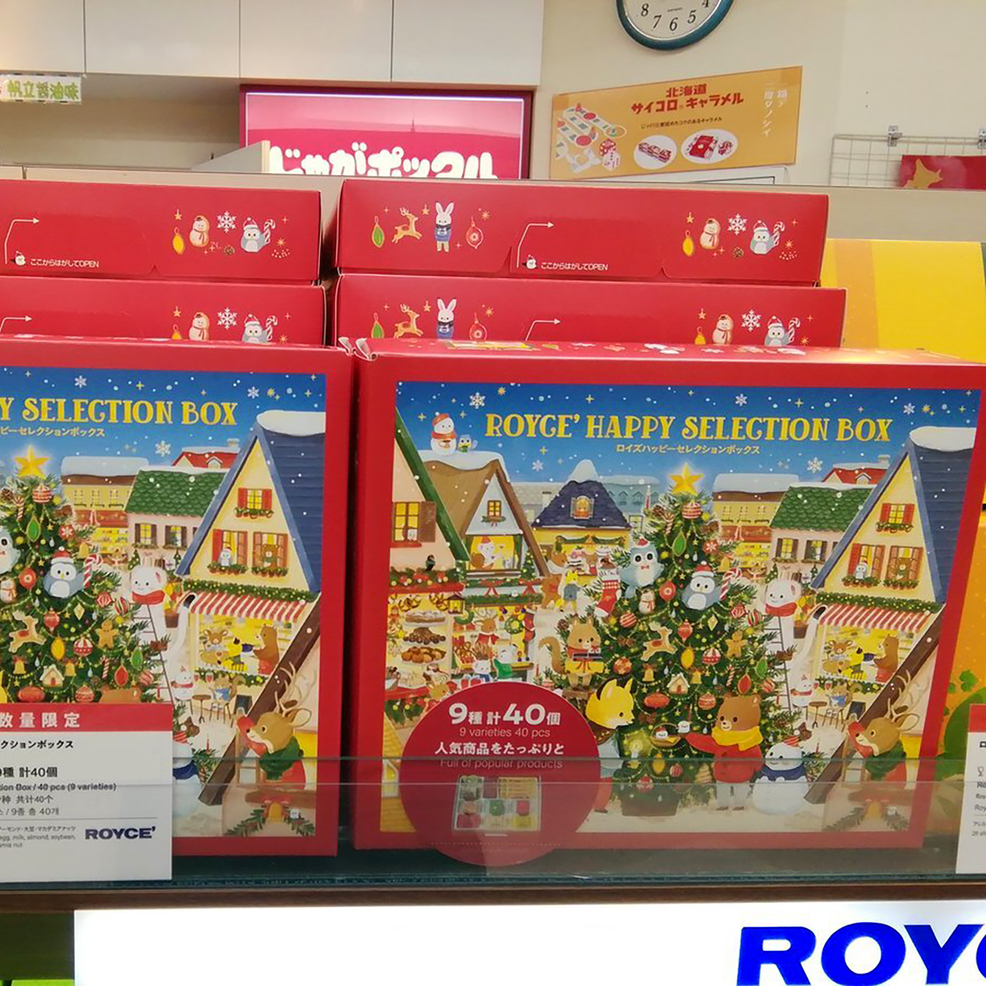 日本进口Royce罗伊斯巧克力礼盒