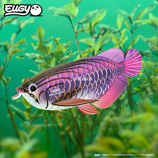 eugy银龙鱼亚洲龙鱼海洋动物纸模型仿真手工粘贴玩具礼物dodoland