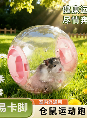 仓鼠运动跑球透明球形玩具