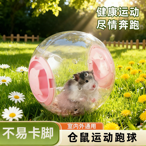 仓鼠运动跑球透明球形玩具