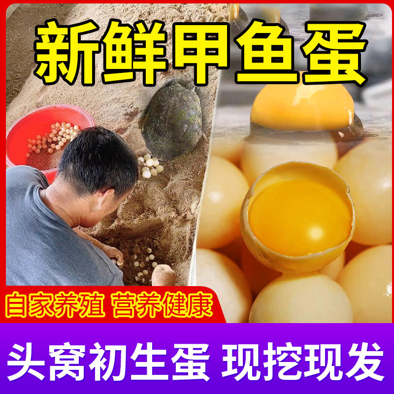 农家新鲜食用甲鱼蛋头窝鳖蛋