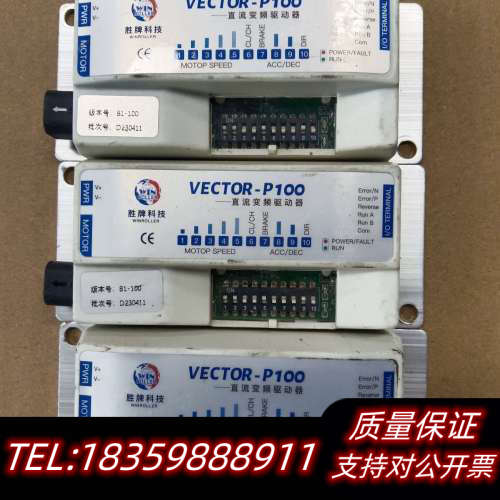 VECTOR-P1000，胜牌直流变频驱动器，，议价