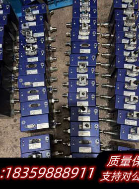 CS200，cs100七星流量计3L/min，5L 10L议价