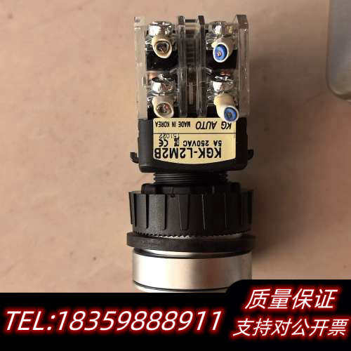 KG AUTO按钮开关，型号KGK-L2M2B，5A 2议价