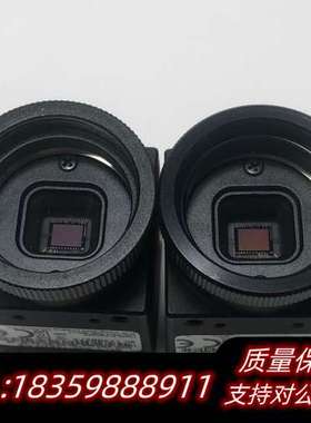 FLIR/菲力尔BFLY-PGE-13S2M-CS 工业相机询价