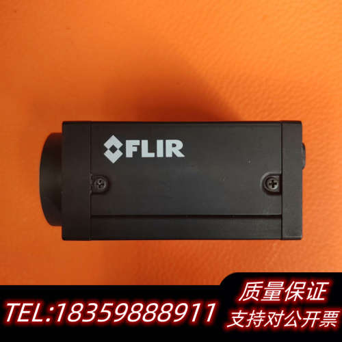 菲力尔GS3-PGE-91S6M-C工业相机900万全局灰点议价