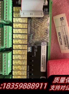 SAM BRM2200数字输出模块，型号810.001.22议价