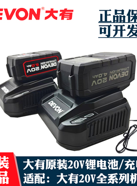 大有20V/4.0/5.0Ah锂电池充电器闪充快充2903/5733/5401原装锂电
