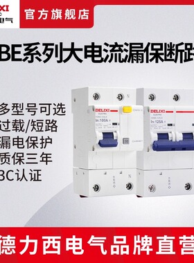 德力西电气断路器D型漏电保护器HDBE-125LE大功率漏电家用空开