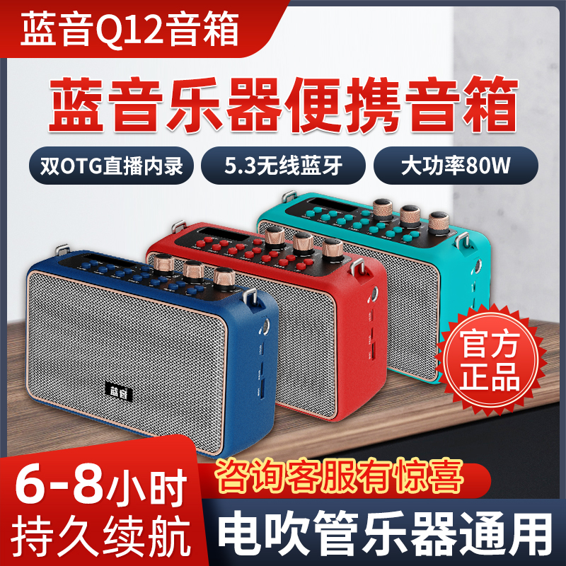 蓝音Q12音箱新款电吹管专用萨克斯吉他弹唱户外便携直播蓝牙音响