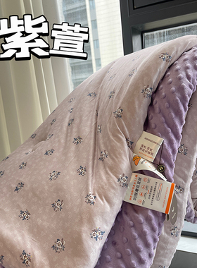 秋冬针织棉豆豆绒春秋被冬被被子被芯加厚保暖紫色双人被豆豆被子